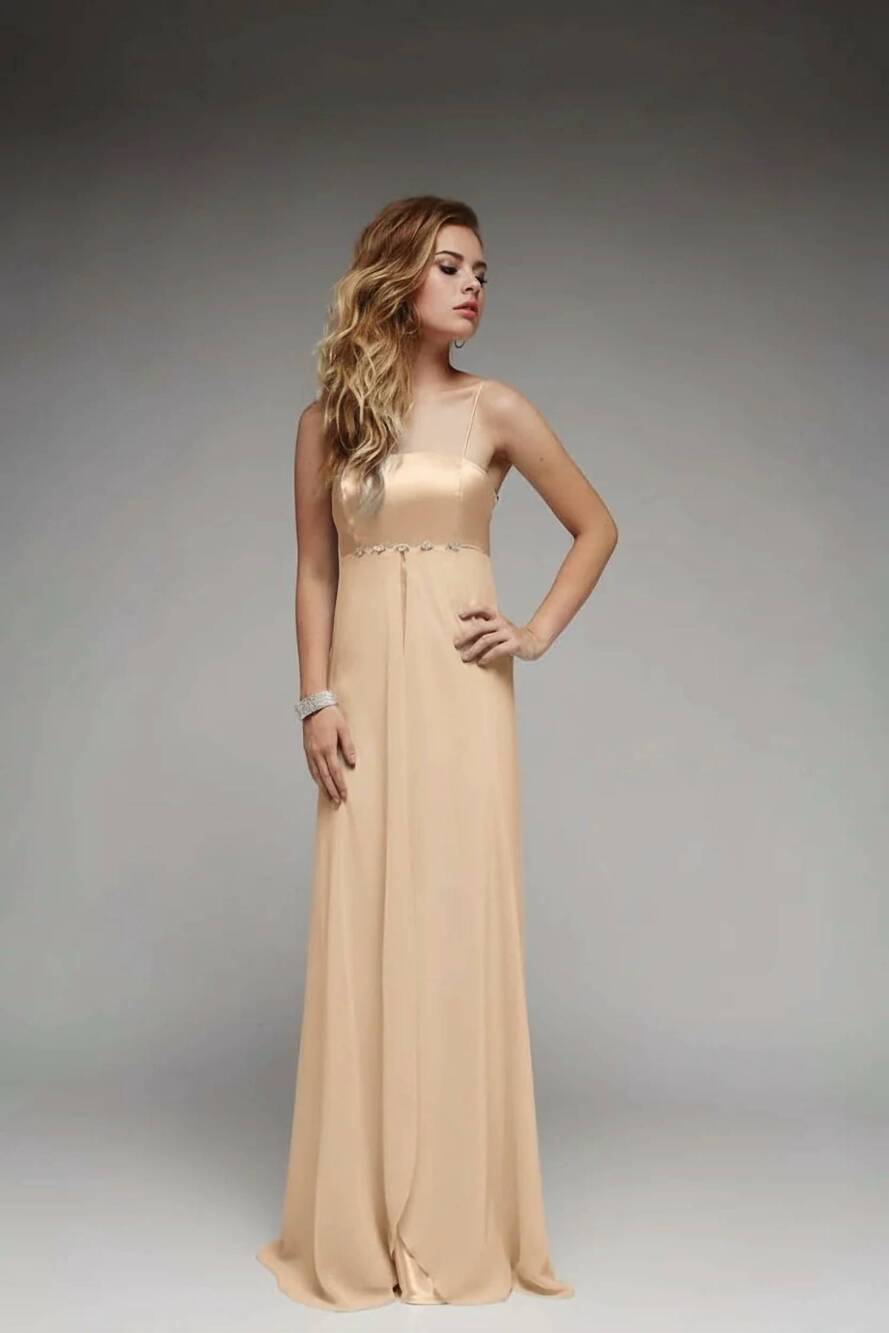 NEW LAST DRESS silken symphony gown in champagne